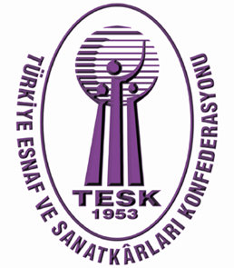 tesk_logo_web.jpg